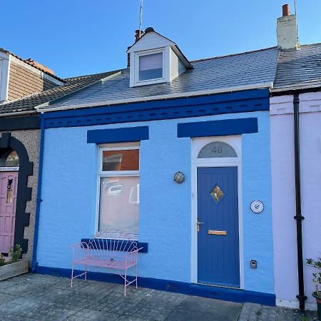 Cowrie Cottage Норт Шийлдс Екстериор снимка