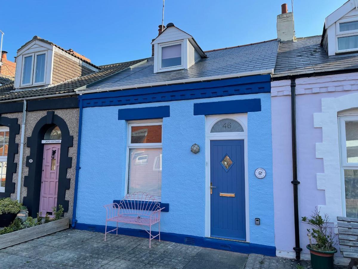 Cowrie Cottage Норт Шийлдс Екстериор снимка
